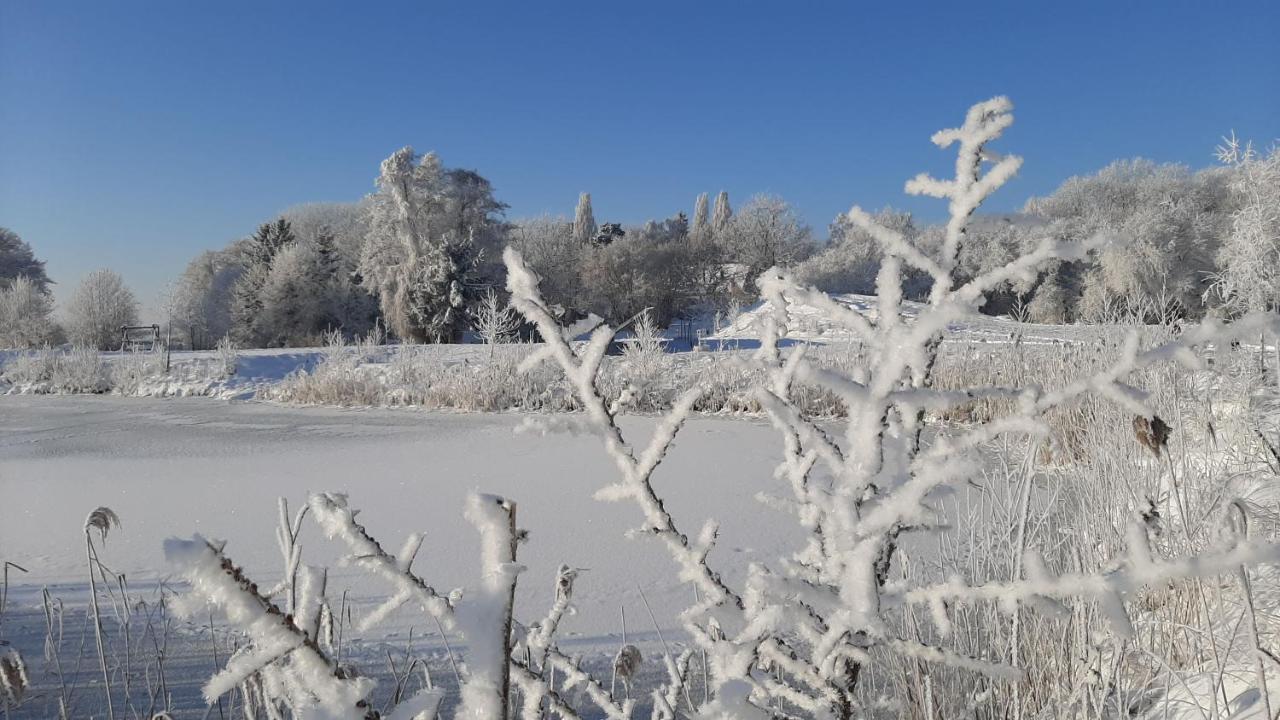 Orzechowy Dworek Nowy Dwor Gdanski Exterior photo